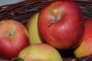 PIORiN: Polscy producenci jabłek coraz bliżej chińskiego rynku