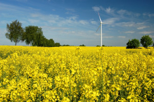 W Karwicach ruszyła farma wiatrowa o mocy 40 MW