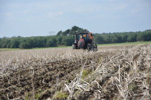 Siew zbóż w uprawie pasowej 