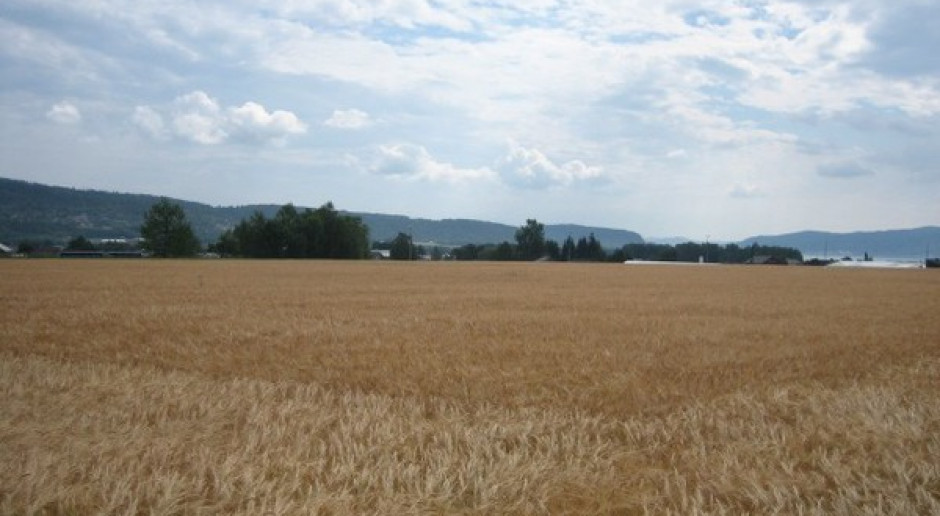 Blisko 1,3 mln zł odszkodowania zasądził w od Skarbu Państwa sąd w Białymstoku za ziemię, którą rodzinie zabrano po wojnie. fot. farmer.pl Zasądzone odszkodowanie za ziemię zabraną w ramach reformy rolnej