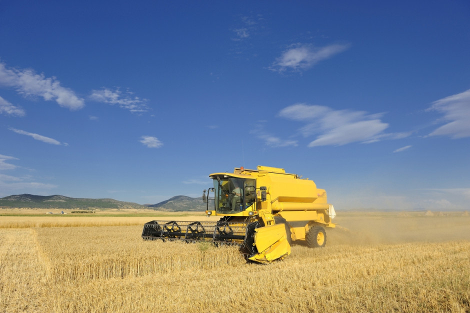 Nowy światowy rekord zbiorów pszenicy wynosi 16,52 t/ha (Fot. Fotolia)