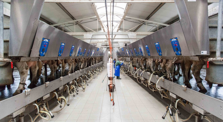 Fonterra podnosi prognozy cen mleka płaconych producentom (Fot. id) Fonterra podnosi prognozy cen mleka