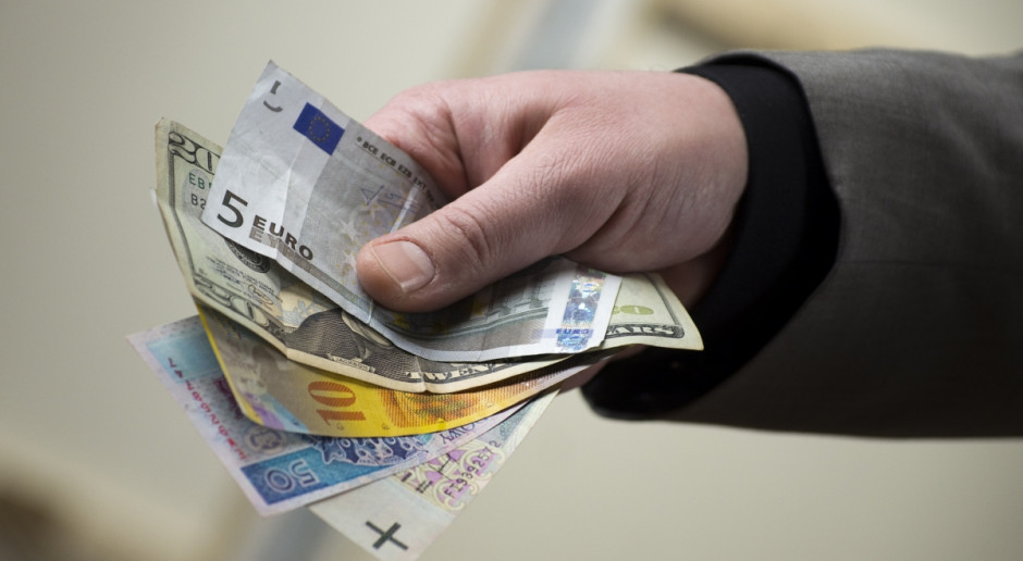 fot. Piotr Waniorek Znamy kurs euro do dopłat
