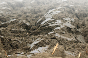 Odczyn gleby a efektywność nawożenia mineralnego