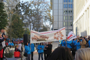 Pracownicy ARiMR protestowali w Warszawie