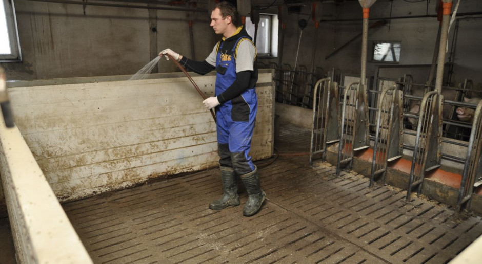 Wnioski o refundację kosztów związanych z bioasekuracją można składać od 23 października br. fot. farmer.pl Ruszy refundacja kosztów bioasekuracji dla rolników z Podlasia