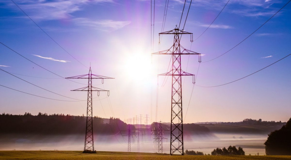 Profesor Kamrat przyznał, że w kolejnych latach udział węgla w ogólnym miksie energetycznym w Polsce będzie spadał. Fot. pixabay Polska energetyka powinna być bardziej innowacyjna