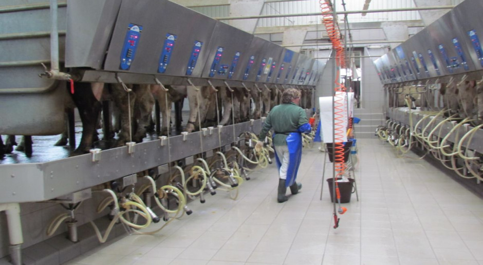 Pół roku od uwolnienia rynku mleka: ceny poszły w dół