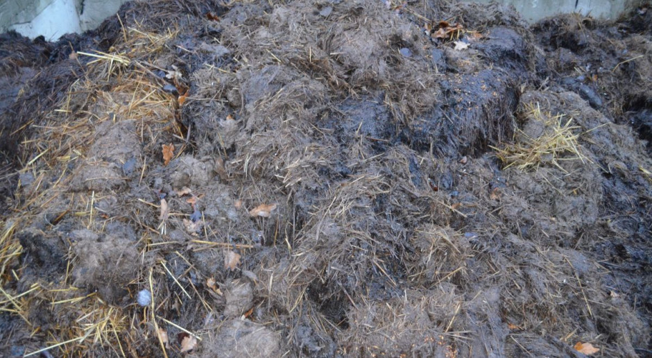 Nawozy naturalne można stosować do 30 listopada, fot. M. Kobiałka Ostatni dzwonek na zastosowanie nawozów naturalnych