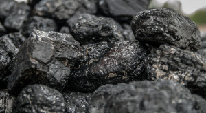 The left lodged an application with the Office for Competition and Consumer Protection regarding coal price speculation