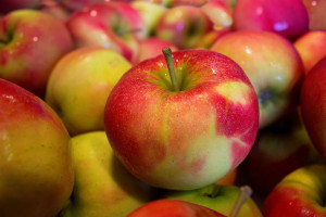 Koniec prymatu w eksporcie jabłek