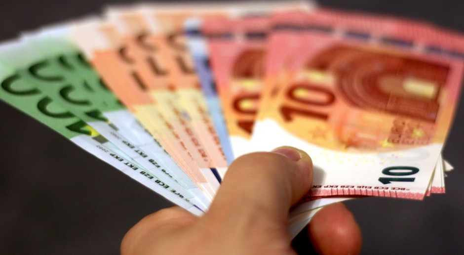 Średnie przychody unijnych rolników w 2015 r. porównaniu z 2014 r. spadły o 6 proc., a przychody na zatrudnionego o 4,3 proc. Fot. pixabay Eurostat: Przychody polskich rolników spadły o 23,8 proc.