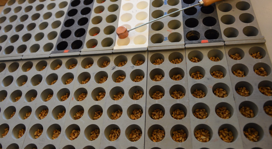 Posłowie Parlamentu Europejskiego wezwali KE do ochrony dostępu hodowcy do materiału biologicznego. Fot Katarzyna Szulc UE: Rośliny z hodowli konwencjonalnej nie mogą być opatentowane