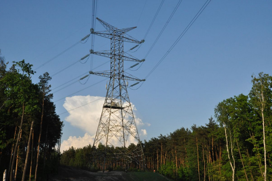W październiku Komisja Europejska wezwała Polskę do pełnego wdrożenia przepisów dyrektywy w sprawie efektywności energetycznej. Fot. pixabay