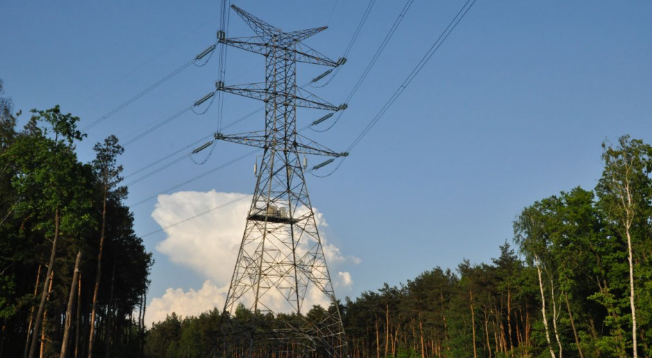 W październiku Komisja Europejska wezwała Polskę do pełnego wdrożenia przepisów dyrektywy w sprawie efektywności energetycznej. Fot. pixabay Sejm zajmie się zmianami w ustawie o efektywności energetycznej