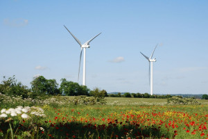 Gmina Giżycko miejscowym planem broni się przed farmami wiatrowymi