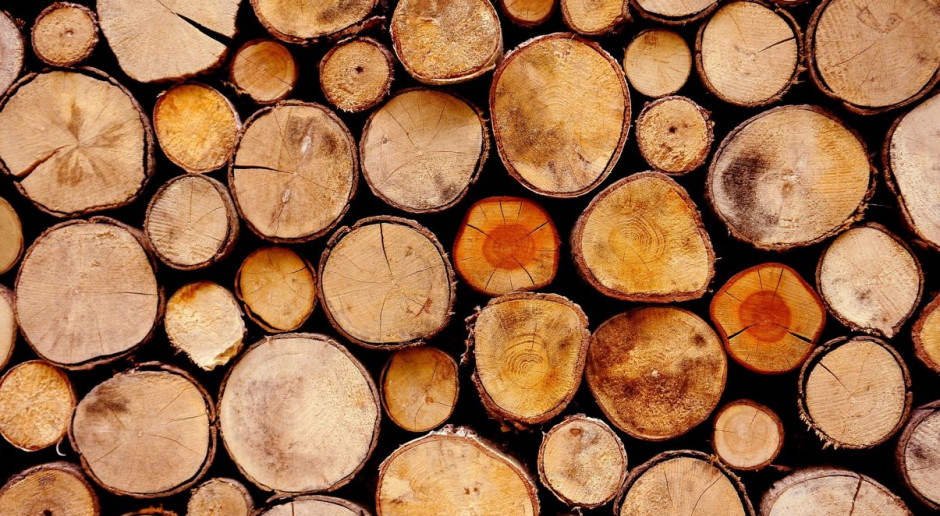 Światowe i europejskie indeksy cen drewna najwyższe od lat