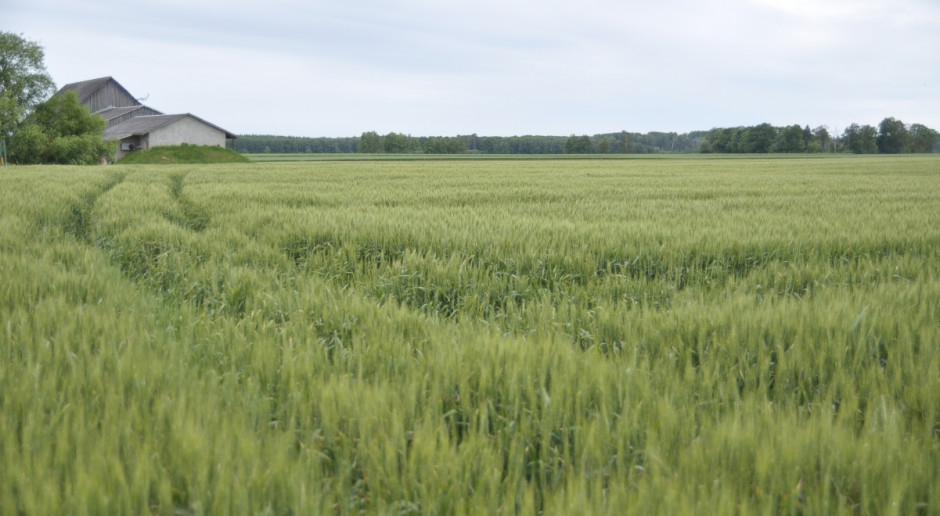 Według resortu rolnictwa, w pierwszej kolejności niezbędne jest wstrzymanie sprzedaży nieruchomości albo ich części wchodzących w skład Zasobu Własności Rolnej Skarbu Państwa na okres 5 lat od dnia wejścia w życie projektowanej ustawy. Fot. A. Królak MRiRW opublikowało projekt ustawy dot. obrotu ziemią