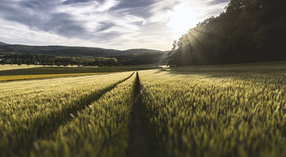 Uda się zatrzymać spekulacyjny wykup ziemi? Fot. pixabay „Słupy” powalone?