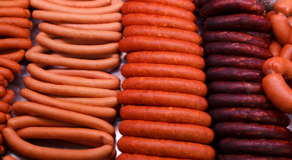 Od lutego 2014 r. Rosja zakazała importu wieprzowiny w związku z pojawieniem się m.in. w Polsce (tj. na terenie Unii) ASF. Fot. pixabay Izby Rolnicze: niektóre kraje chcą eksportować żywność do Rosji poza UE