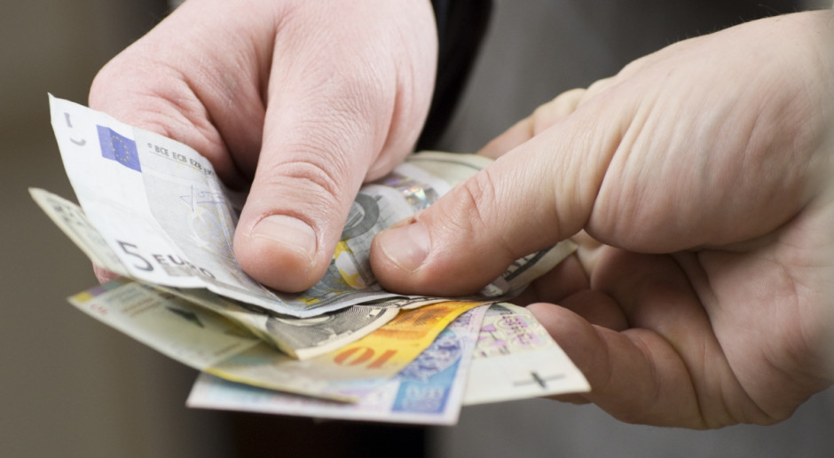 Tylko małe regiony w innych państwach mają tak mały dochód rolników, jak cała Polska; fot. Piotr Waniorek Polski rolnik biedakiem w Europie