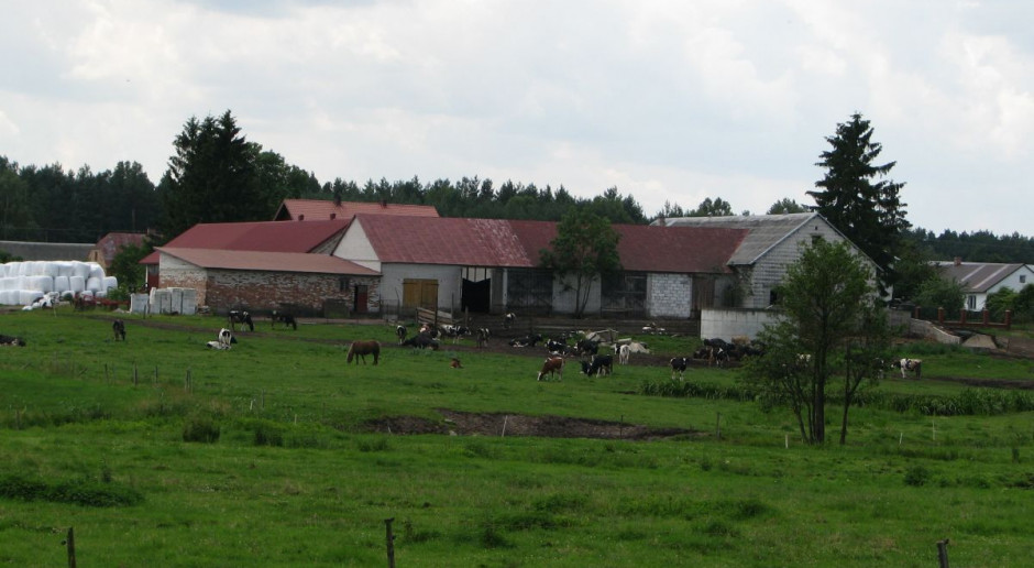 Podano wstepną ocenę sytuacji rynkowej w 2015 r., fot. MT IERiGŻ ocenia 2015 r. pod względem rynkowym