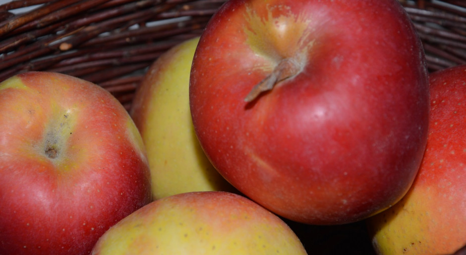 Stan zapasów jabłek i gruszek