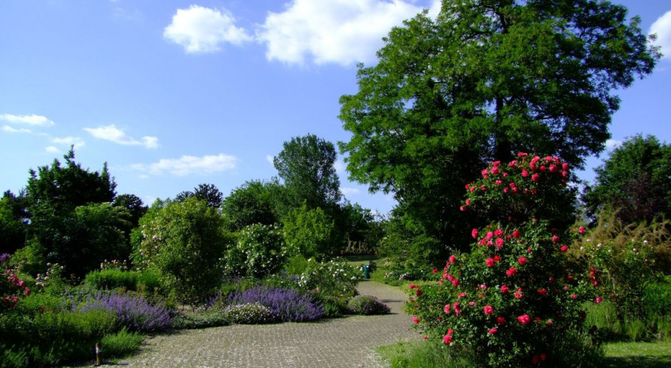 Ogród Botaniczny w stolicy województwa świętokrzyskiego powstaje od 2010 r. Fot. pixabay W Ogrodzie Botanicznym w Kielcach ma powstać ośrodek badawczy rolnictwa
