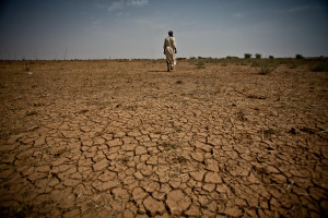 Klęska suszy w RPA - nadchodzą ciężkie czasy