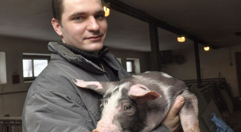Karol Kropiwiec mimo trudnej sytuacji na rynku trzody chlewnej planuje rozbudować swoją hodowlę do ok. 160 loch w stadzie podstawowym. fot. farmer.pl Hodowca mówi o dzisiejszym funkcjonowaniu na rynku trzody chlewnej