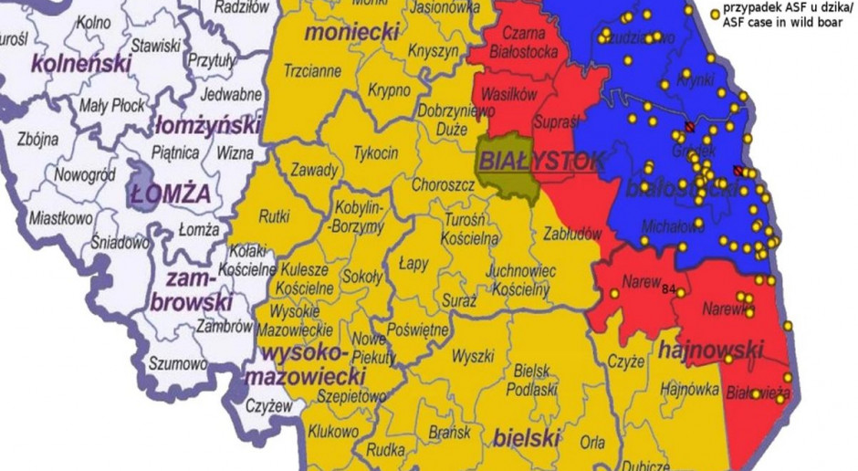Osiemdziesiąty czwarty przypadek stanowi dzik odstrzelony w pobliżu miejscowości Waśki, w gminie Narew. Kolejny przypadek ASF na Podlasiu