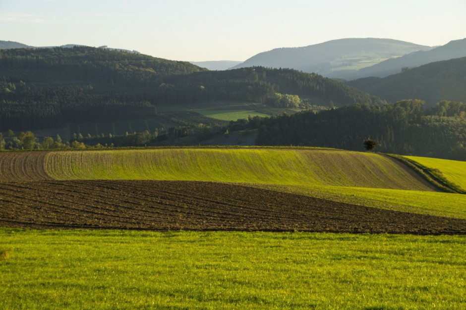 Według szacunków APK-Inform, powierzchnia pod uprawę zbóż i roślin oleistych może spaść do najniższego poziomu od 2010 r. – 6,8-6,9 mln ha; Fot. pixabay.com