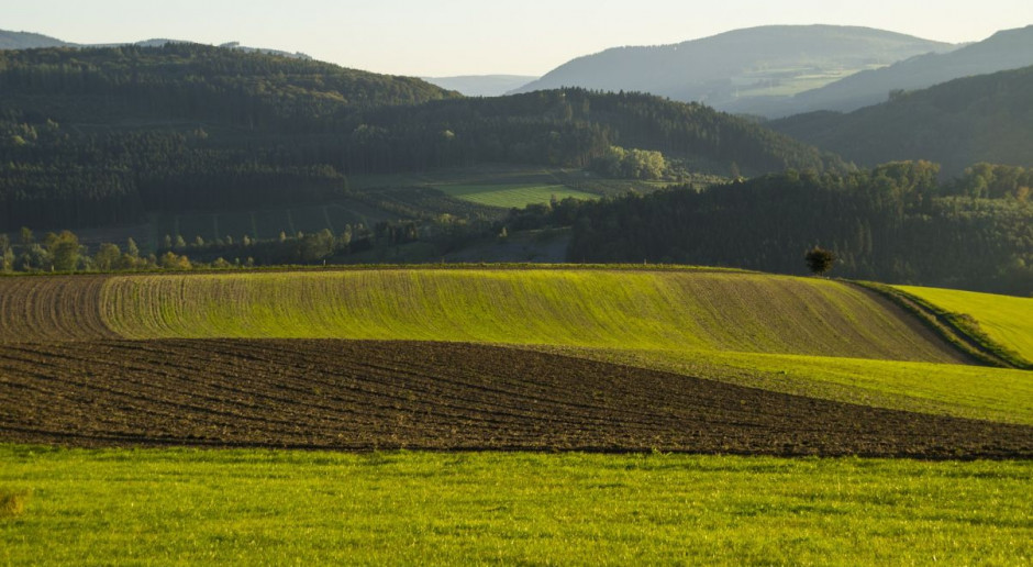 Gospodarstwa rolne w 2015 r. zajmowały 16,3 mln ha gruntów tj. mniej więcej tyle samo co rok wcześniej. Fot. pixabay W 2015 r. wzrosła powierzchnia zasiewów o 3,2 proc.