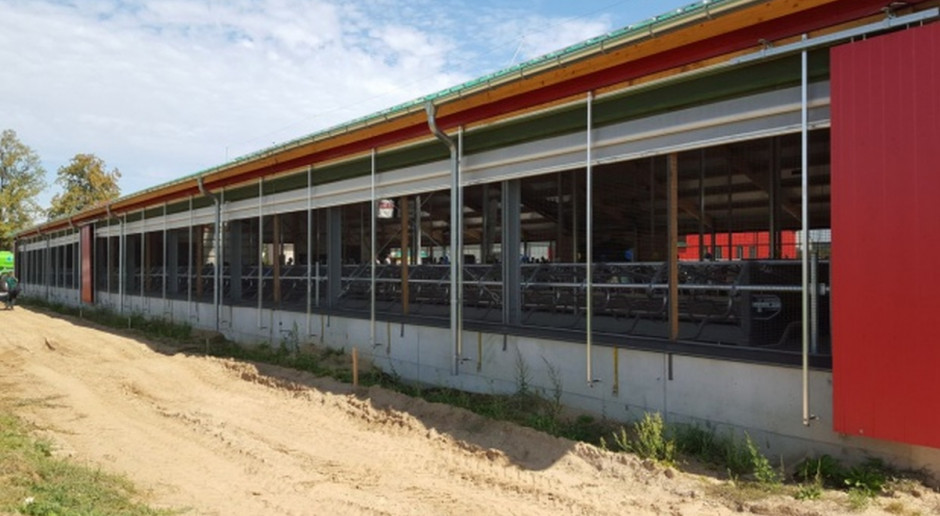 Mimo kryzysu duńscy rolnicy chcą modernizować i rozbudowywać obory (Fot. farmer.pl) Dania: Mimo kryzysu rolnicy modernizują i rozbudowują obory
