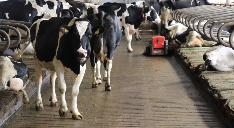 fot. farmer.pl Polska złoży wniosek do KE o podjęcie interwencji na rynku mleka