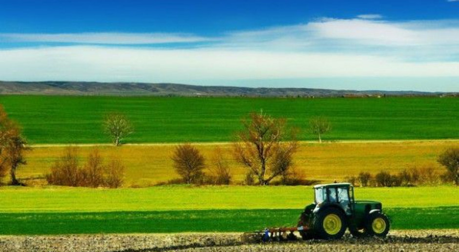 Zwiększa się bezpieczeństwo żywnosciowe, fot. PTWP Poprawia się bezpieczeństwo żywnościowe na świecie