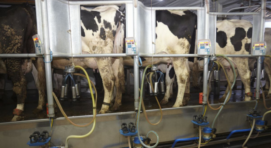 Odpowiednia konserwacja jest bardzo ważna, jeśli nie chcemy zmagać z się z mastitis. Fot. Fotolia Konserwacja urządzeń udojowych wpływa na zdrowotność wymion