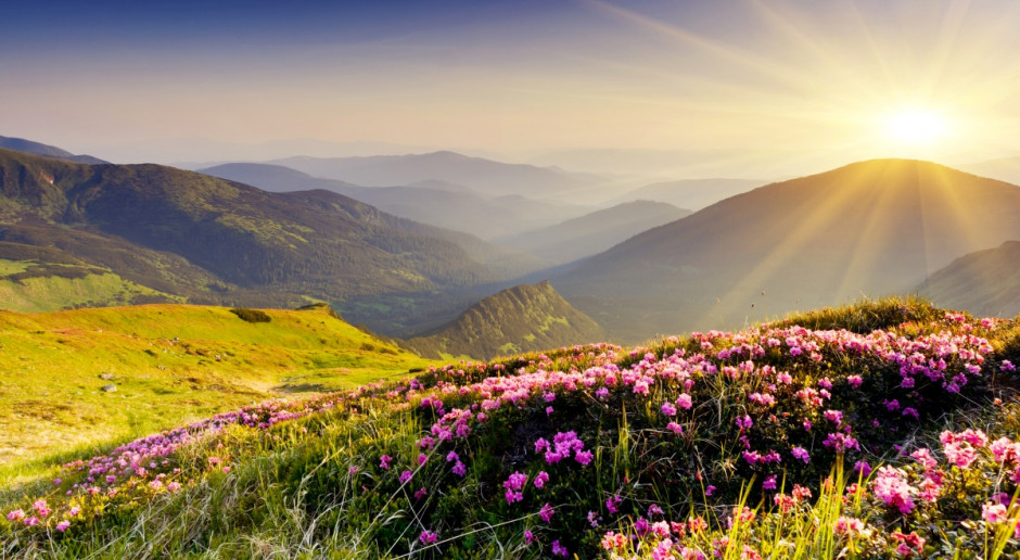 Copa-Cogeca: Porozumienie klimatyczne nie może zagrażać bezpieczeństwu żywnościowemu. Fot. Fotolia Copa-Cogeca: Porozumienie klimatyczne nie może zagrażać produkcji żywności