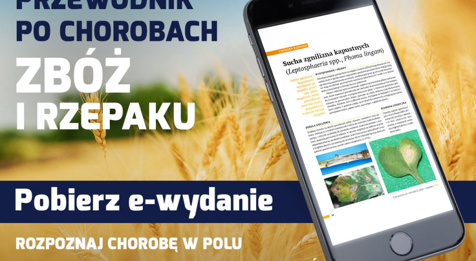 Praktyczny poradnik ułatwiający identyfikację najczęściej występujących chorób i podpowiadający, jak je zwalczać Przewodnik po chorobach zbóż i rzepaku - kup e-wydanie
