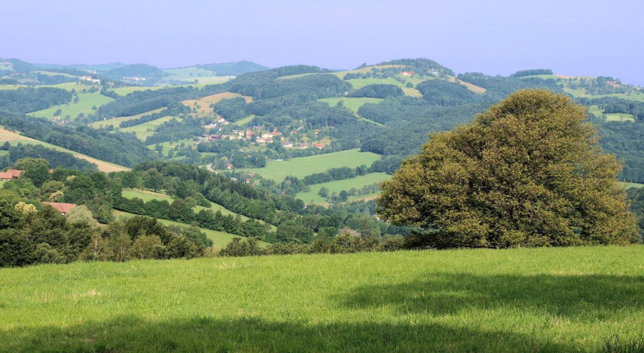 Z raportu wynika, że państwa UE nie zawsze odpowiednio uzasadniały potrzebę korzystania z funduszy unijnych na rzecz rozwoju obszarów wiejskich. Fot. pixabay UE: Audytorzy krytykują wydawanie środków na rozwój obszarów wiejskich