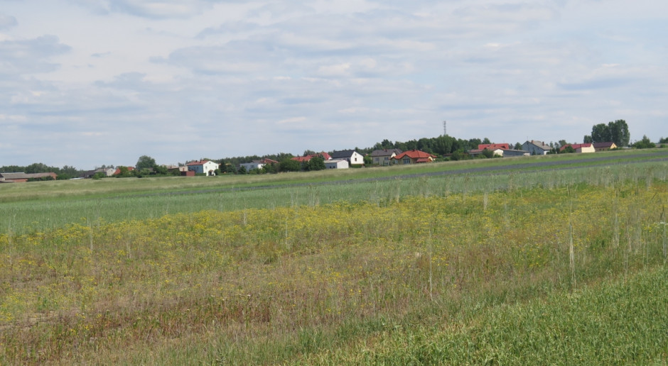 Użyczenie ziemi w ANR Szczecin dyskryminacją czy zdrowym rozsądkiem? Fot. MP Dla kogo, kiedy i na jak długo użyczenie ziemi od ANR?