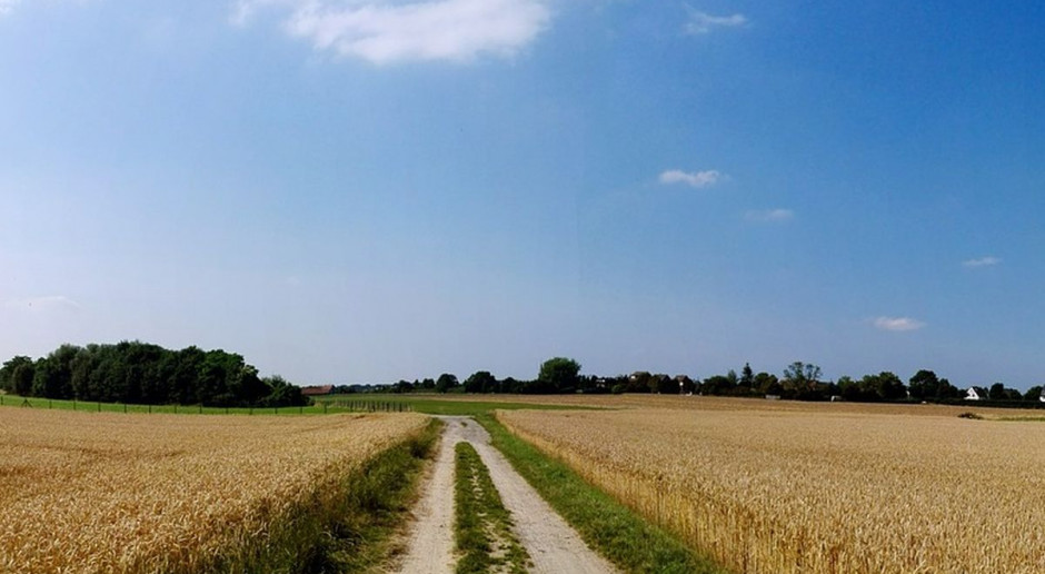 Nabywcami ziemi mają być zasadniczo tylko rolnicy, wyjątek będą stanowić osoby bliskie zbywcy, jednostki samorządu terytorialnego oraz Skarb Państwa. Zasady te nie będą dotyczyły dziedziczenia. Fot. pixabay PO i PSL zapowiadają skierowanie do TK rozwiązań ws. sprzedaży ziemi
