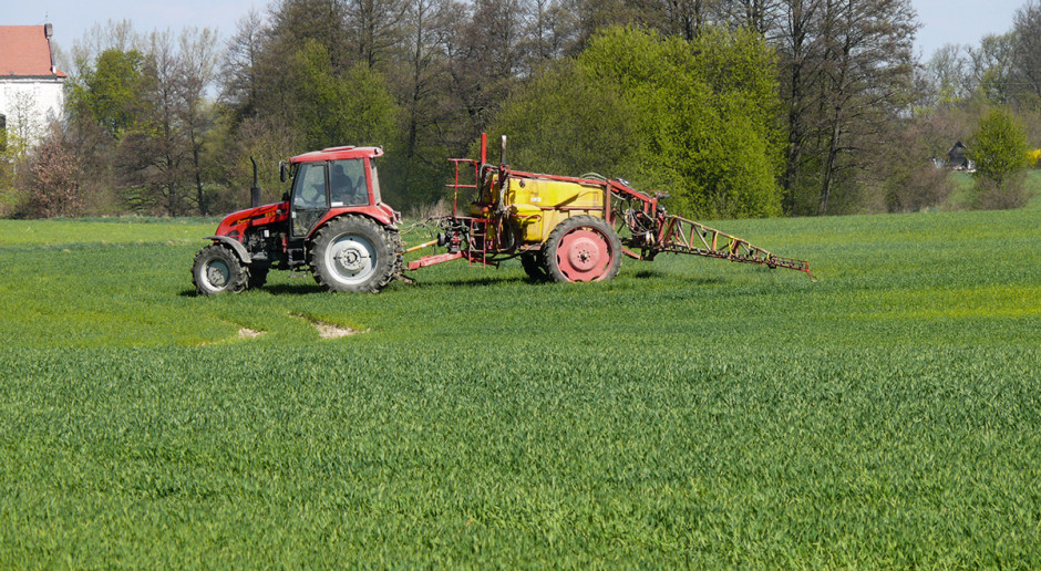 Wysokość strat zależy przede wszystkim od stopnia wylegnięcia plantacji oraz od terminu jego wystąpienia. Zapobiegać można poprzez działania profilaktyczne i stosowanie odpowiednich do danego gatunku retardantów. Fot. W. Konieczny Pamiętajmy o retardantach