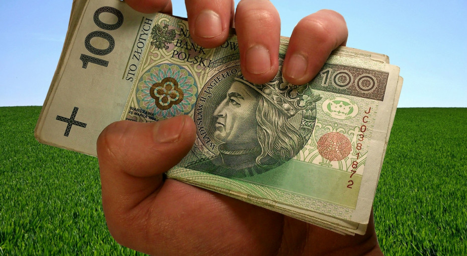 fot. Pixabay ARiMR: Dopłaty najpóźniej w maju