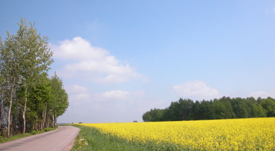Są poprawki do ustawy określającej zasady sprzedaży ziemi. Fot. Fotolia Komisja przyjęła projekt ustawy ws. obrotu ziemią z poprawkami