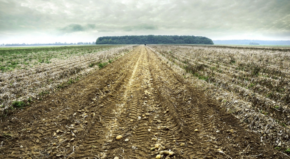 Na Ukrainie do państwa należy około 10 mln ha ziemi rolniczej i nierolniczej. Fot. pixabay Ukraina planuje uwolnienie sprzedaży ziemi rolniczej od 2017 r.