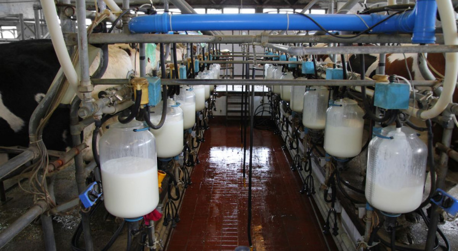 Druga grudniowa aukcja produktów mlecznych na Global Dairy Trade (GDT) zakończyła się wzrostem indeksu o 1,9 proc. do 730,4 pkt. Fot. Fotolia Przełomowy rok na rynku mleka