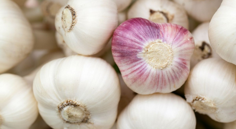 Fot. Shutterstock Dwa kolejne polskie produkty z unijnymi oznaczeniami jakości