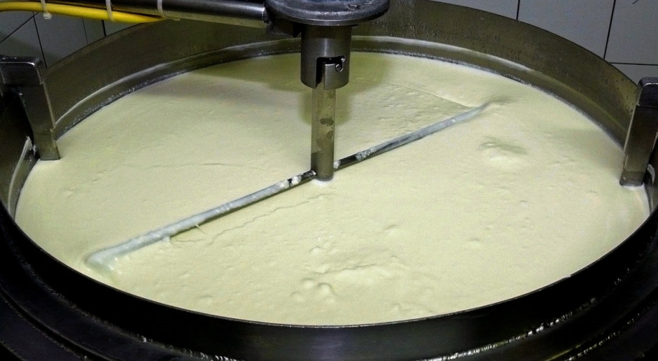 Austriaccy producenci mleka wzywają do zmniejszenia ilości produkowanego mleka poprzez wspólne inicjatywy producentów i przetwórców mleka (Fot. pixabay.com) Producenci mleka protestowali w Wiedniu