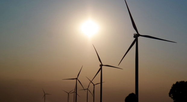 MSZ: ustawa dot. energetyki wiatrowej może być niezgodna z prawem UE